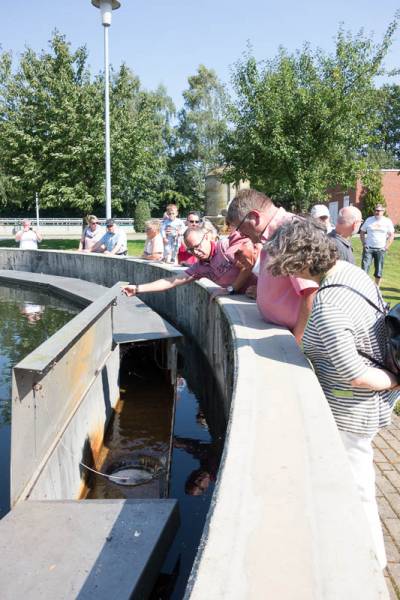 Tour de Beelen - Nachklärbecken mit Ablauf vom Becken zum Schönungsteich