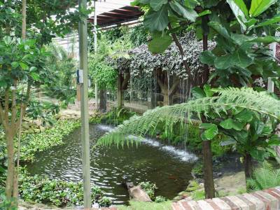 Tagesfahrt der Senioren-Union Beelen zur Gartenwelt  - 