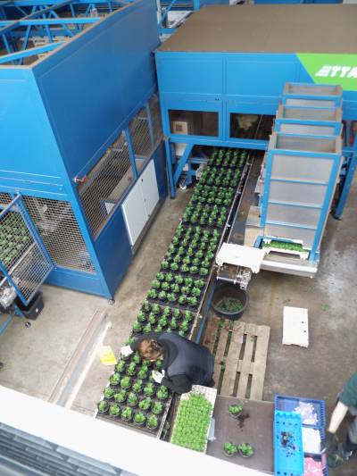 Tagesfahrt der Senioren-Union Beelen zur Gartenwelt  - 