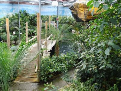 Tagesfahrt der Senioren-Union Beelen zur Gartenwelt  - 