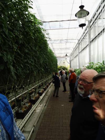 Tagesfahrt der Senioren-Union Beelen zur Gartenwelt  - 