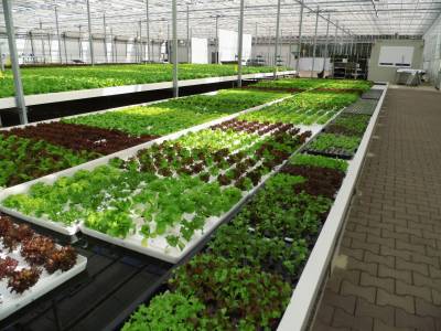 Tagesfahrt der Senioren-Union Beelen zur Gartenwelt  - 